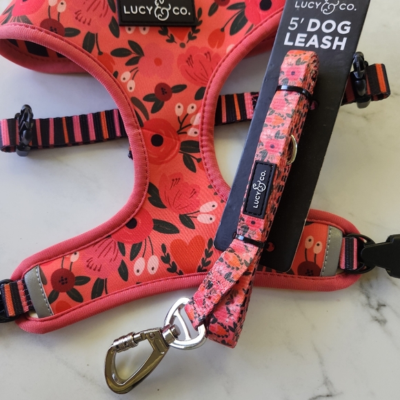 Large Lucy and co harness and leash - Picture 2 of 6